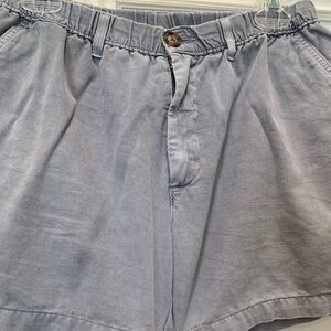 Chubbies Blue Flat Front Shorts Casual Style